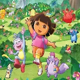 Dora memory cards